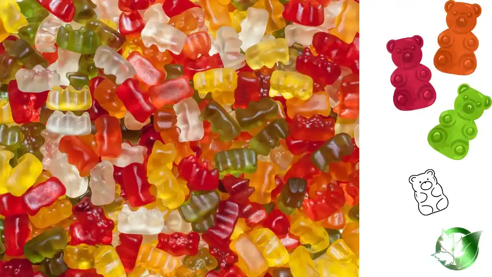 Supplier evaluation for Gummy Candy should cover specification, packaging, document package, logistics, and full delivered cost.